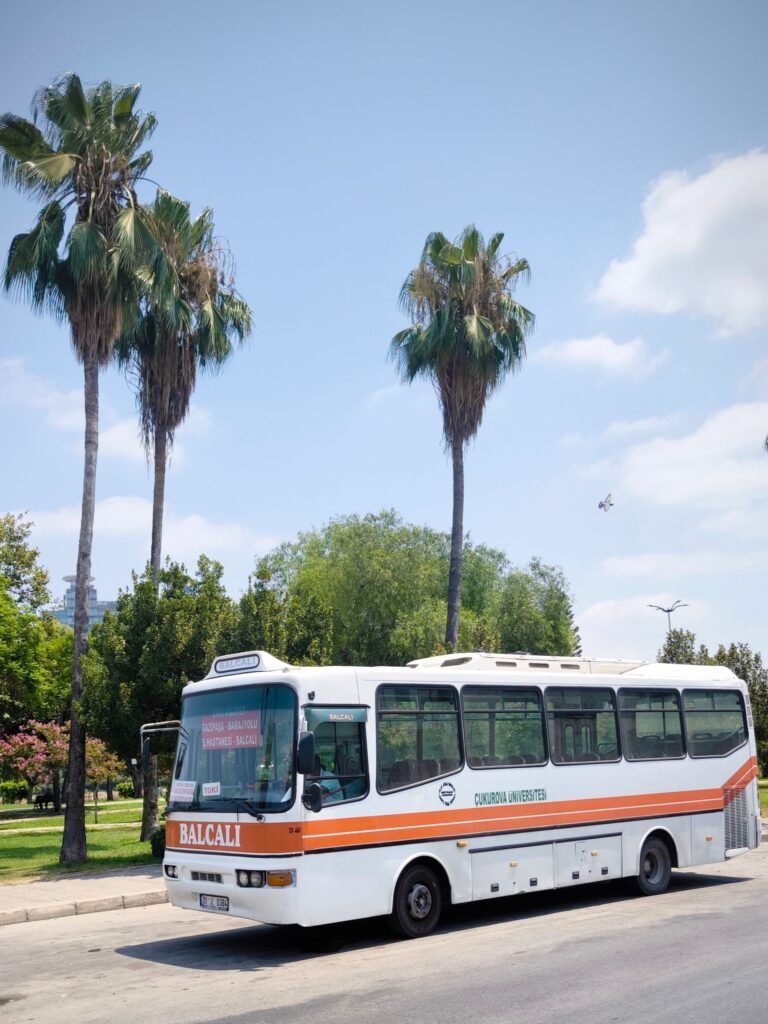University shuttle bus parked on a sunny day with palm trees around.